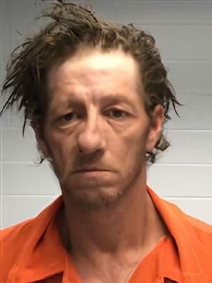 Mugshot of CHARLES MICHAEL NEWMAN