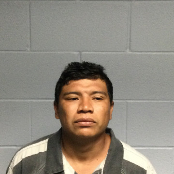 Mugshot of JOSUE COLLI