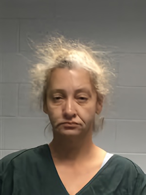 Mugshot of ERIN ANTON POSERN