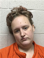 Mugshot of BRITTANY NICOLE HALEY