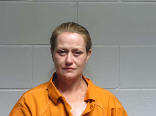 Mugshot of PRICILLA PEARLYNN BARNES