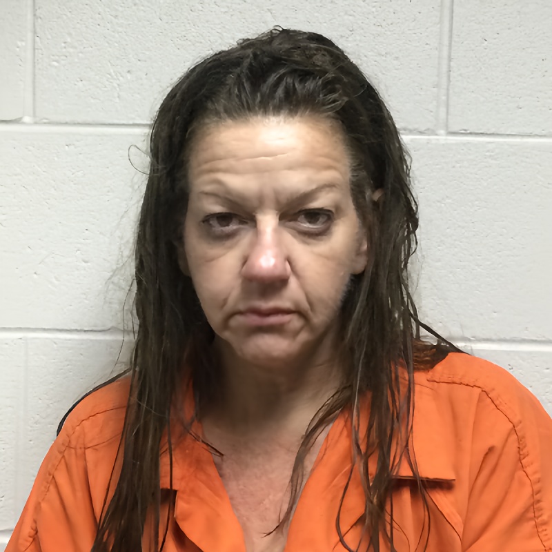 Mugshot of GEORGIA DUSTIN DONNELL