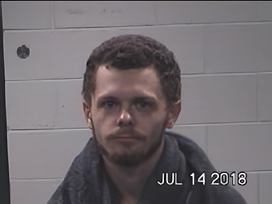 Mugshot of JAMES MICHAEL BURTON