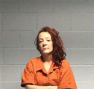 Mugshot of BONNIE GAIL LADA