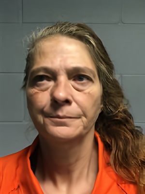 Mugshot of VERA ANNETTE HARRISON