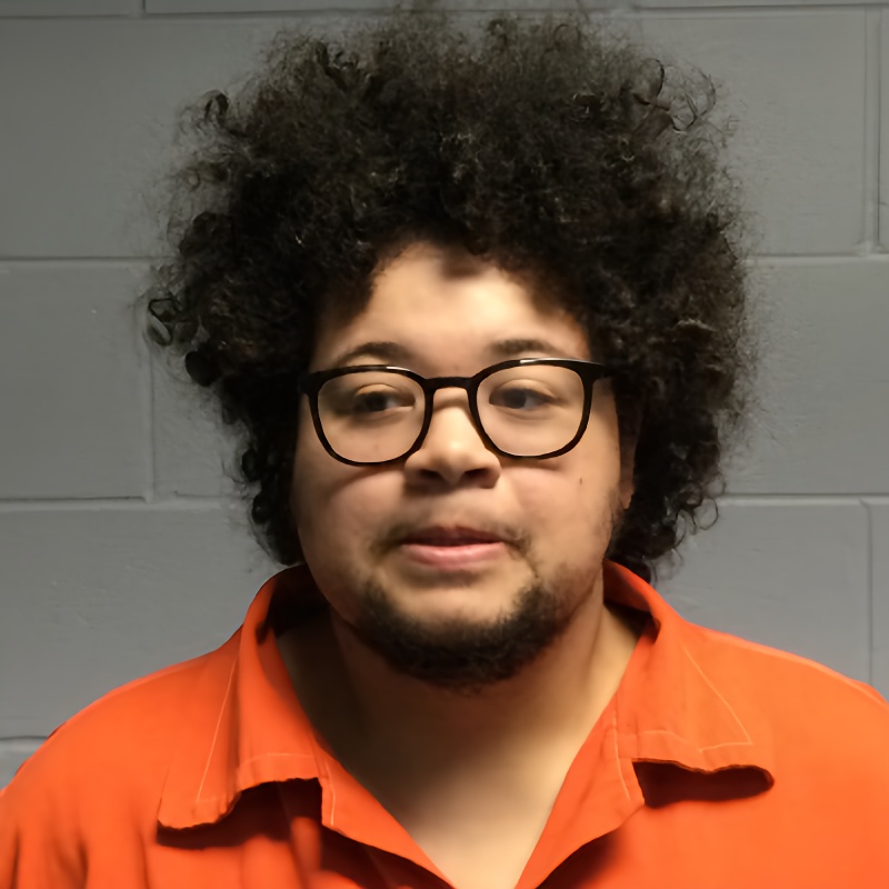 Mugshot of CANDACE NICOLE TYSON