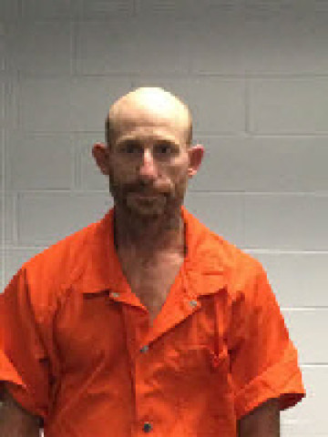 Mugshot of MICHAEL DUANE NETTLES