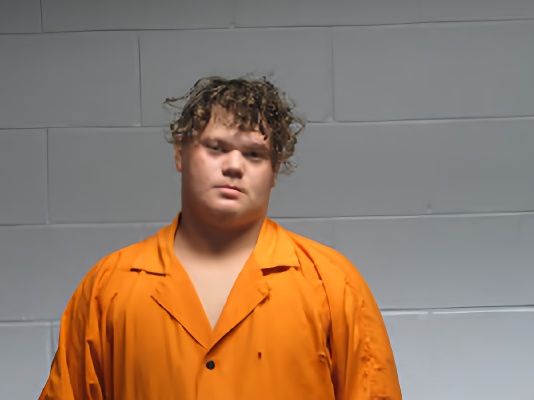 Mugshot of HENRY SOSA