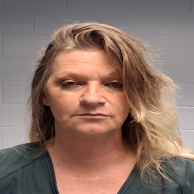 Mugshot of CARRIE JO WILSON