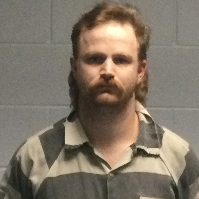Mugshot of DALTON RAY INGRAM