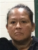 Mugshot of ELIA JUNE LARA