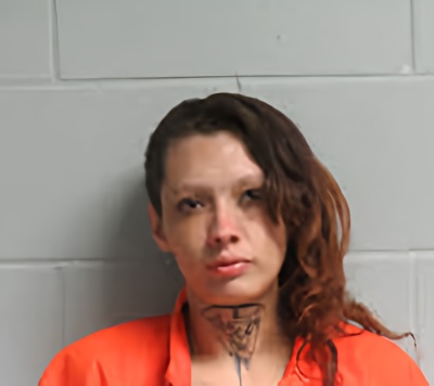 Mugshot of KASIN NICOLE WILKERSON