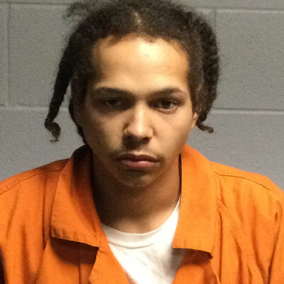 Mugshot of DONAL LAPAUL HOGAN