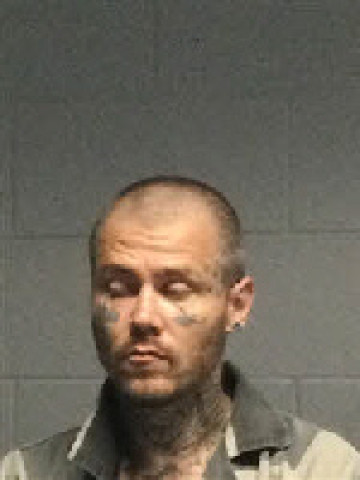 Mugshot of DAVID LEWIS PARKER