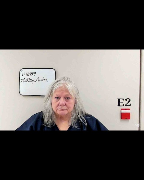 Mugshot of LEE ANN MCELROY
