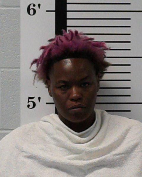 Mugshot of Tershan Michelle Jackson