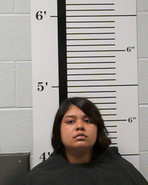 Mugshot of Victoria Carolina Sosa