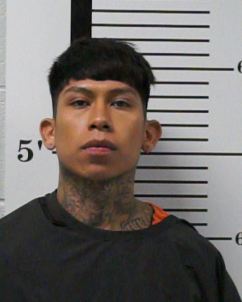 Mugshot of Luis Enrique Herrera