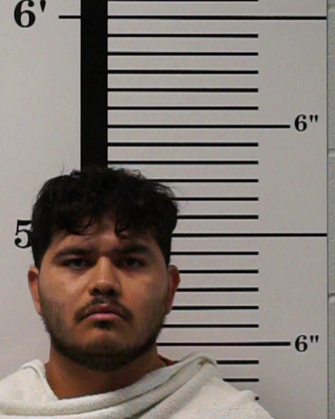 Mugshot of Iram Ortiz