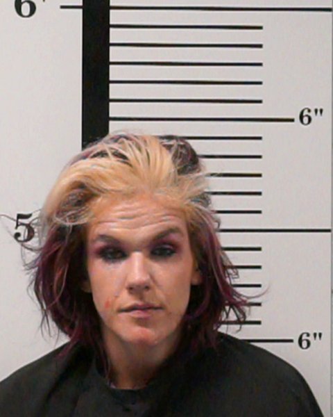 Mugshot of Erica Michelle Knight