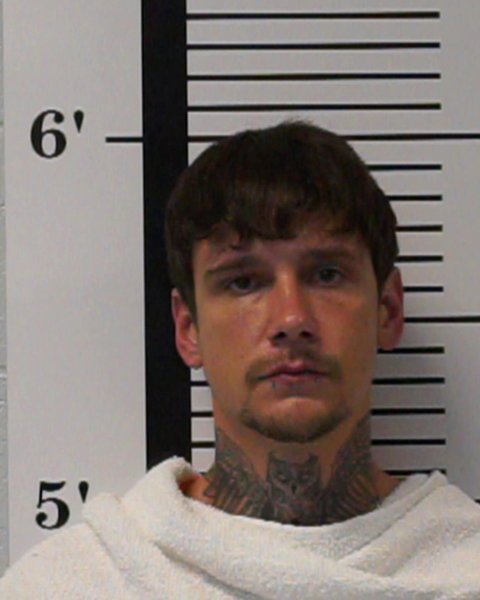 Mugshot of Rex Allen, Jr. Rigney