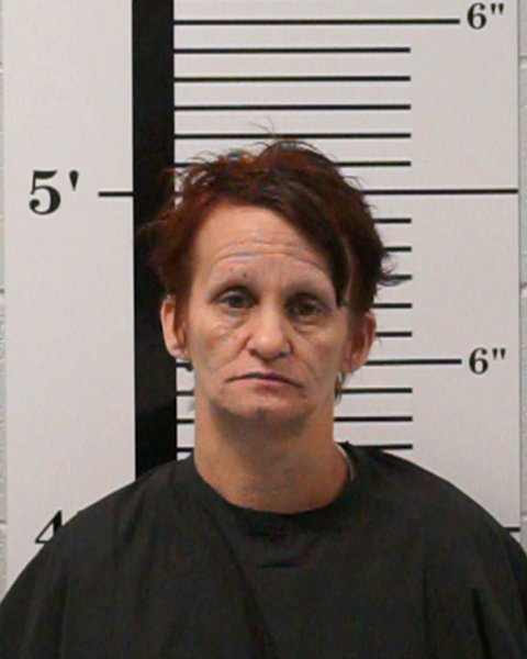 Mugshot of Janet Marie Barnett