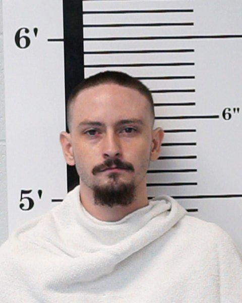 Mugshot of David Andrew Adams