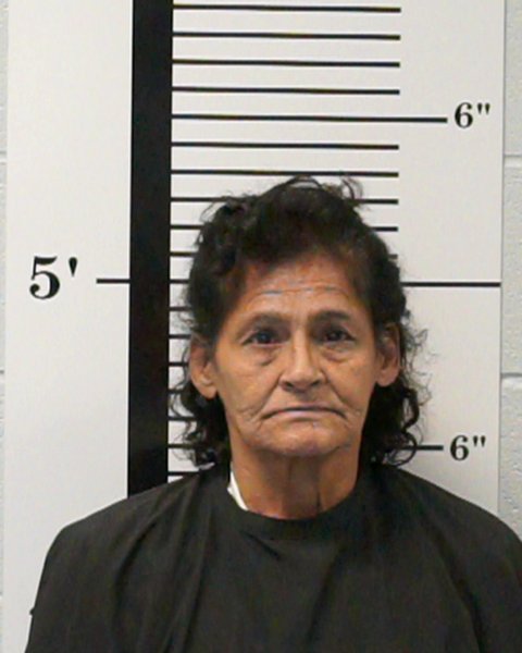 Mugshot of Elizabeth Ann Brito