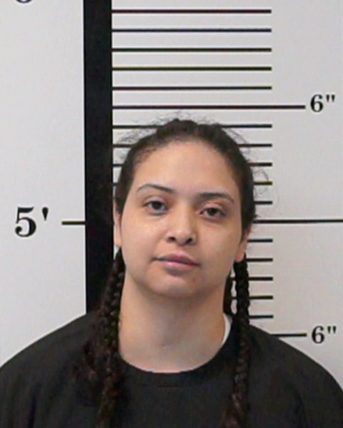 Mugshot of Lizbeth Alejandra Arteaga