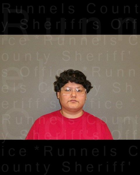 Mugshot of JESENIA PEREZ MARTINEZ