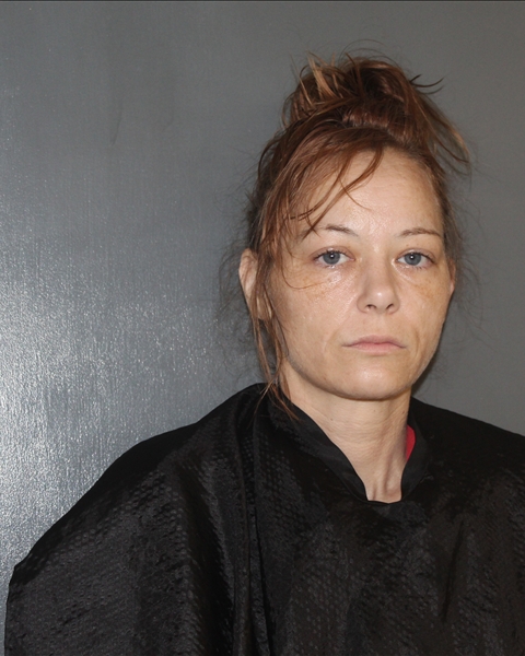 Mugshot of JESSICA MARIE AMMONS