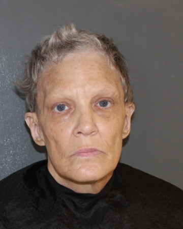 Mugshot of CARIN COIL DEWBRE
