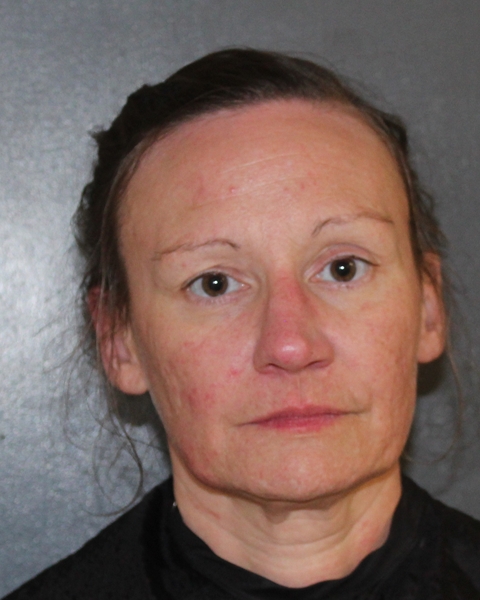 Mugshot of AFTON LEE HARTT