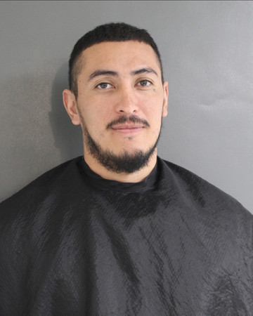 Mugshot of ROGER ALEXANDER GOMEZ-MARTINEZ