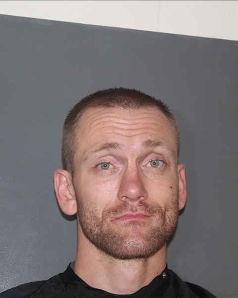 Mugshot of DAVID ANTHONY WARNER