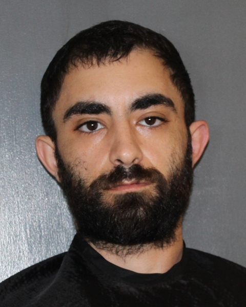 Mugshot of WAEL SHEHADEH LAARITS