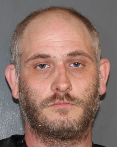 Mugshot of TONY BERT HARRIS