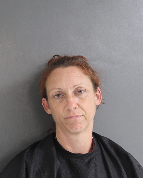 Mugshot of HOLLY MARIE RIEHL