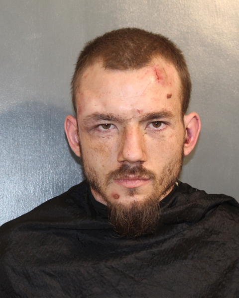 Mugshot of NICKOLUS CAIN BROWN