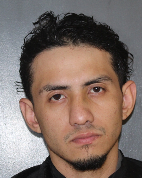 Mugshot of DEREK LANINGHAM
