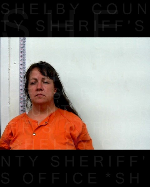 Mugshot of HEATHER RENEE FOWLER