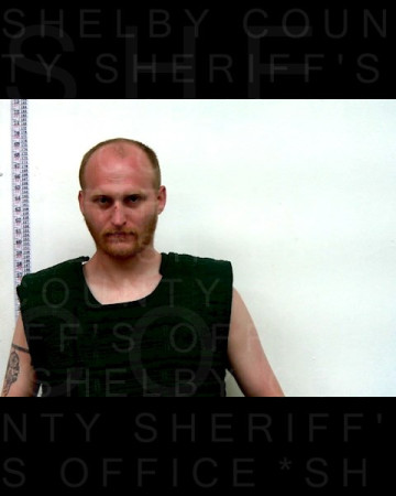 Mugshot of TYSON WOOD
