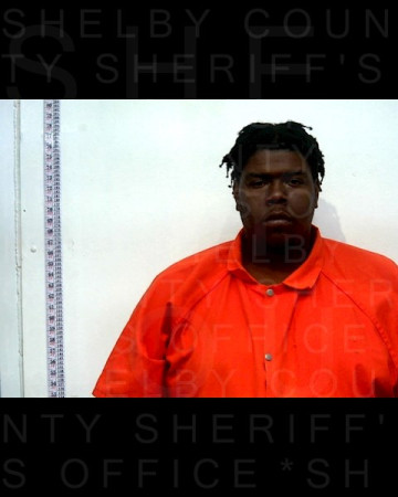 Mugshot of RICO T ROSE