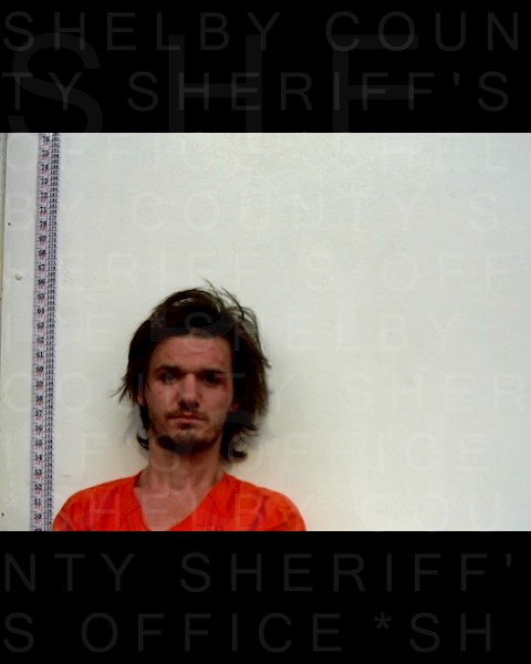 Mugshot of RYAN MARIE