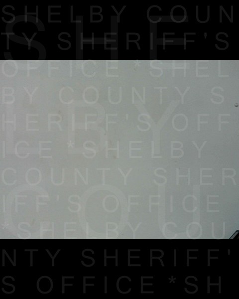 Mugshot of MARTY LEE WARDEN