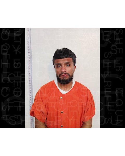Mugshot of JOSE GUADALUPE MARTINEZ