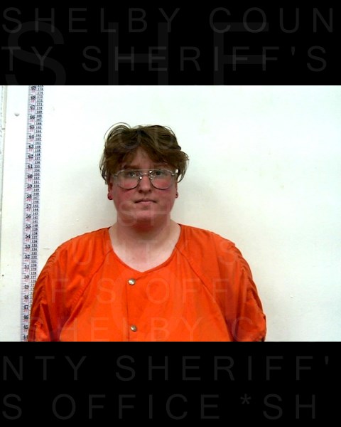 Mugshot of DONNA KRISTIN WALL CARROLL