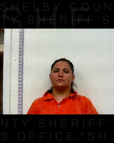 Mugshot of ARELI MALDONADO ROMAN