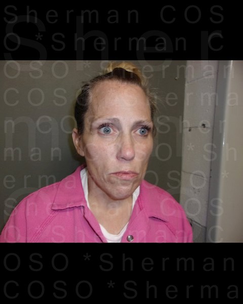 Mugshot of MANDY DAWN STEPNEY