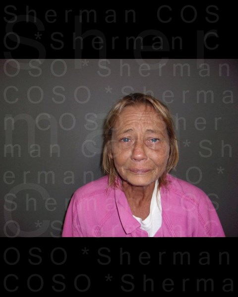 Mugshot of SHEILA ANN SLAYTON